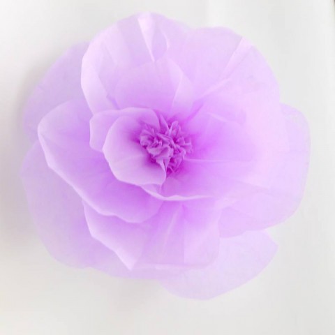 Цветок тишью «Элиза» (любой цвет, по договоренности)